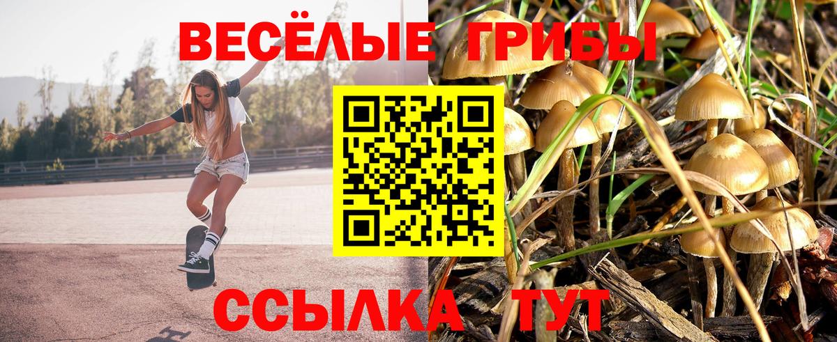 Псилоцибиновые грибы MAGIC MUSHROOMS  Вход с VPN  Новоуральск 